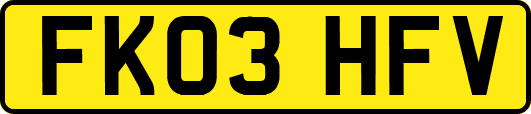 FK03HFV