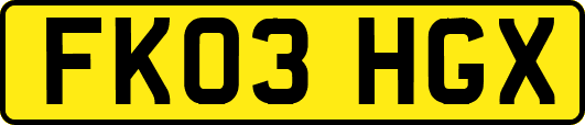 FK03HGX