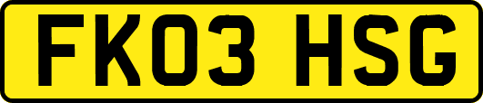 FK03HSG