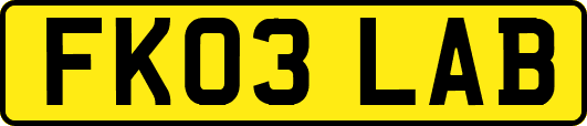 FK03LAB