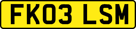 FK03LSM