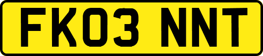 FK03NNT