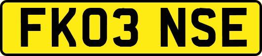 FK03NSE