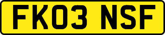 FK03NSF