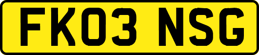 FK03NSG
