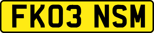 FK03NSM