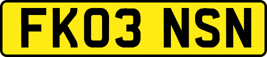 FK03NSN