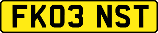 FK03NST