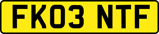 FK03NTF