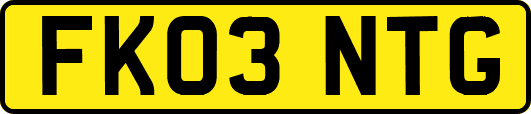 FK03NTG