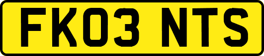 FK03NTS