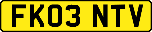 FK03NTV