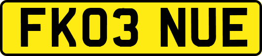 FK03NUE