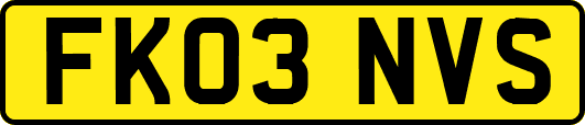 FK03NVS