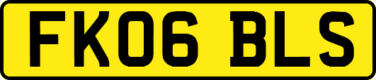 FK06BLS
