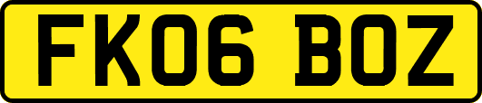 FK06BOZ