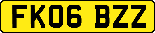 FK06BZZ