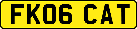 FK06CAT