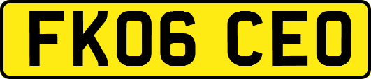 FK06CEO