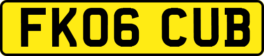 FK06CUB