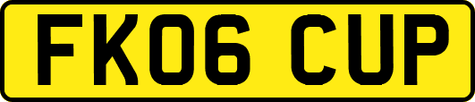 FK06CUP