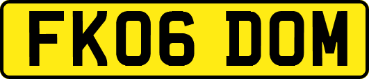 FK06DOM