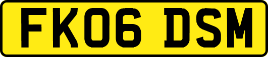FK06DSM