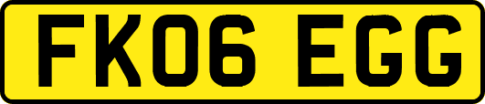 FK06EGG