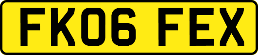 FK06FEX