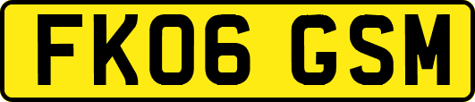FK06GSM