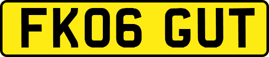 FK06GUT
