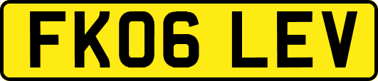 FK06LEV