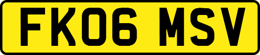 FK06MSV