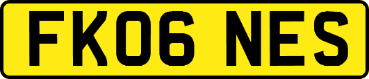 FK06NES