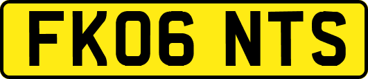 FK06NTS