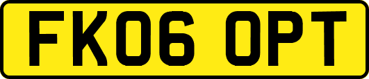 FK06OPT
