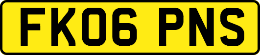FK06PNS