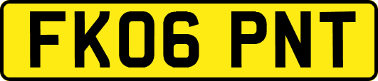 FK06PNT