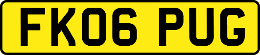 FK06PUG