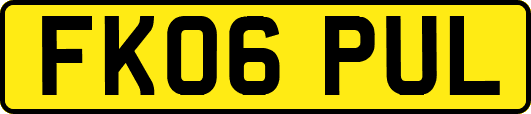 FK06PUL
