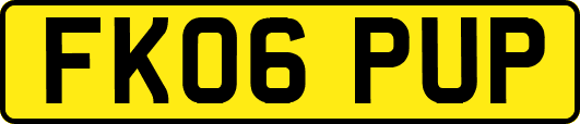FK06PUP