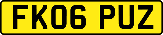 FK06PUZ