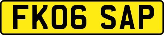 FK06SAP
