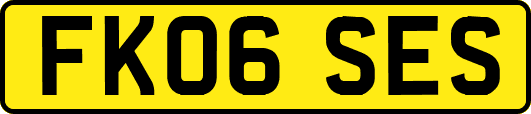 FK06SES
