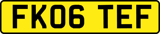 FK06TEF