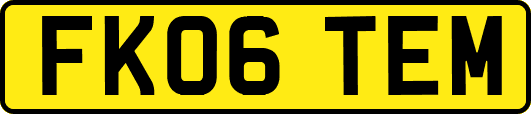 FK06TEM