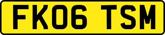 FK06TSM