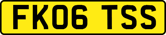 FK06TSS