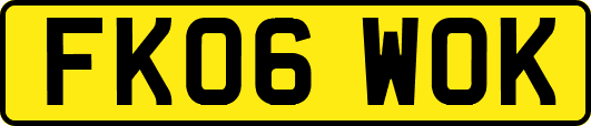 FK06WOK
