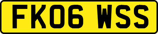 FK06WSS